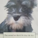 Profile Picture of Eric Aschinger (@eric.aschinger) on Facebook