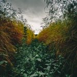 Profile Picture of David Benning (@david_benning_photo) on Instagram