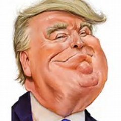 Patrick Vecchio - Twitter Profile Picture of Patrick Vecchio (@Trump_ish) on Twitter