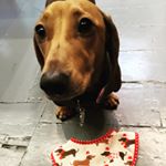 Profile Picture of Nigel Bryant Esq (@nigelbryantesq) on Instagram