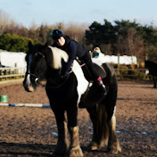 Profile Picture of Andrew Franks (@andrewfranks5306) on Youtube