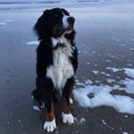 Profile Picture of ♥️ Eddy vom Töpferdorf (@best.eddy.ever) on Instagram
