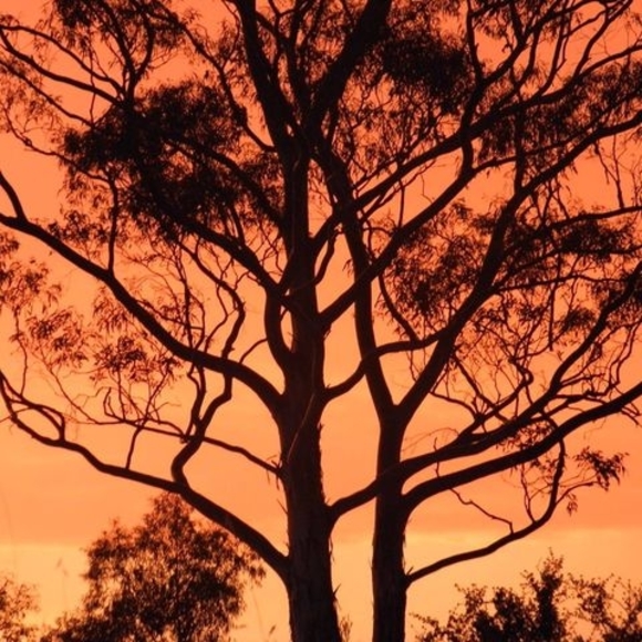 Profile Picture of Anne Fabry (@annefabry) on Poshmark