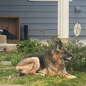 Profile Picture of Phil Mancini (@philkat4life) on Youtube