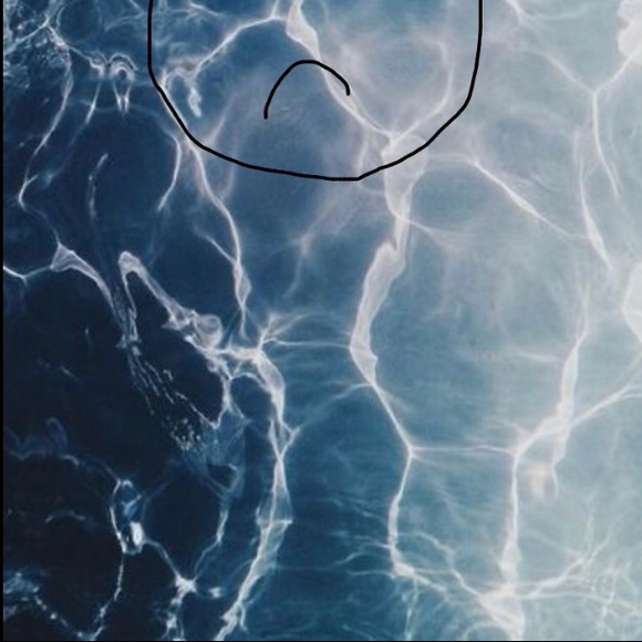 Profile Picture of Ava Younts (@avayounts) on Poshmark