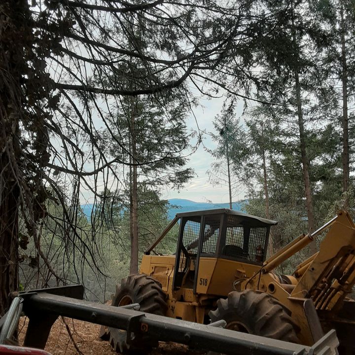 Profile Picture of Andrew Zellner (@andrewz1991) on Tiktok