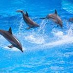 Profile Picture of Amine Elizabeth Schultz Lee (@amineelizabeth) on Instagram