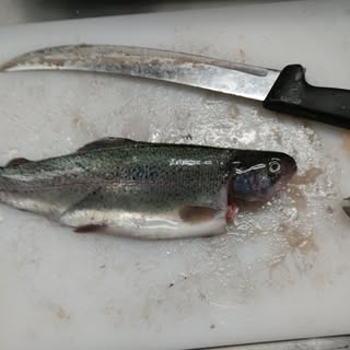 Profile Picture of Michael Gussis (@michaelgussis) on Instagram