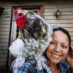 Profile Picture of Telo & Travis (@goosepondhomestead) on Instagram