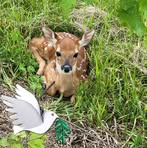 Profile Picture of Andrew Foglesong (@andrew.foglesong.2025) on Facebook