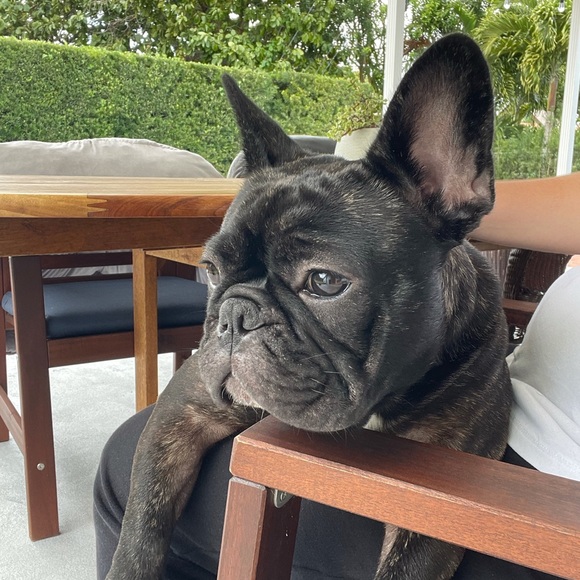 Profile Picture of Laura Plasencia (@lauramp13) on Poshmark