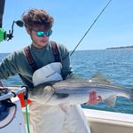 Profile Picture of George Apessos (@george_apessos_) on Instagram