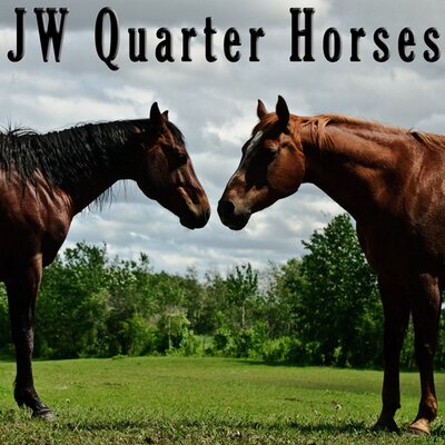 Profile Picture of John Isley (@JWQuarterHorses) on Twitter