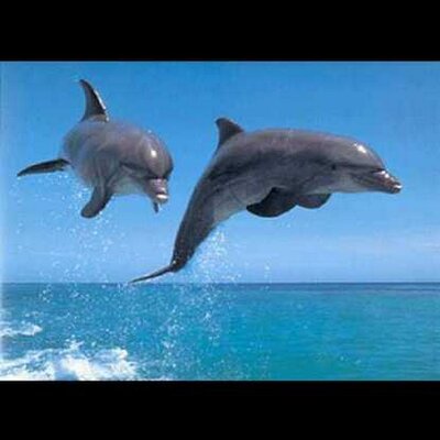 Profile Picture of Mariana Toledo (@marianatoledo90) on Twitter