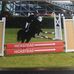 Profile Picture of Guy Lodge Stables (@guylodge.stables) on Facebook