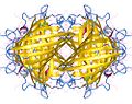 Yellow fluorescent protein - Wikipedia Profile Picture of Yellow fluorescent proteinon Wikipedia