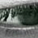 Profile Picture of Matthew Steven (@p0werisevil) on Flickr