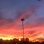 Profile Picture of Adam Foley (@adamfoley) on Instagram