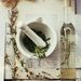 Profile Picture of Ashley Hartwell (@person3444) on Pinterest