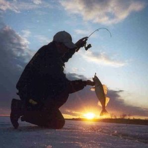 Profile Picture of Brad Laurie (@michiganman1955) on Twitter