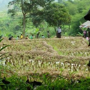 Profile Picture of Aku (@munirsmith1) on Twitter