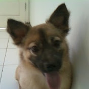 Profile Picture of Eric Pedrosa (@ericpedro21) on Youtube