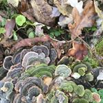 Profile Picture of Robert Sabbe (@robertsabbe) on Instagram