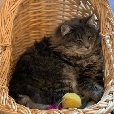 Profile Picture of Hope Nixon (@HopeNix14834907) on Twitter