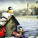 Profile Picture of Norma Crouse (@crousenorma) on Instagram