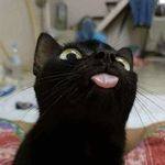 Profile Picture of Benjamin Helin (@ewok_helper) on Instagram