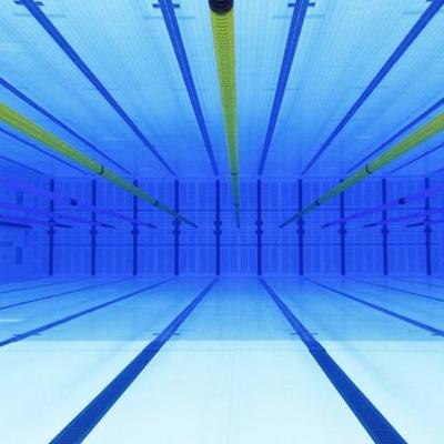 Profile Picture of René Visser (@swimprovement) on Twitter