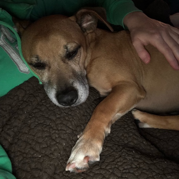 Profile Picture of Stacey Mansfield (@stacey0284) on Poshmark