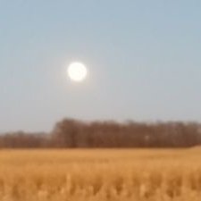 Profile Picture of Paul Gillette (@PaulGillette64) on Twitter