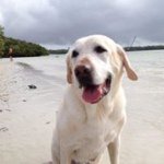 Profile Picture of Aimee Pyles Stitt (@imdataimee) on Instagram