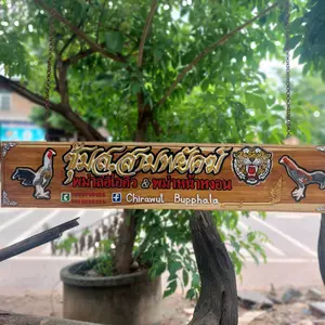 Profile Picture of ซุ้ม ส.สามพยัคฆ์🐓 (@chirawut28) on Tiktok