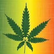 Profile Picture of Angie Herman (@SelfInflicted27) on Twitter