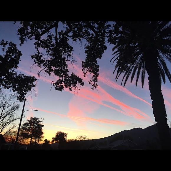 Adilene Ibarra - Poshmark Profile Picture of Adilene Ibarra (@adilene_ibarra) on Poshmark