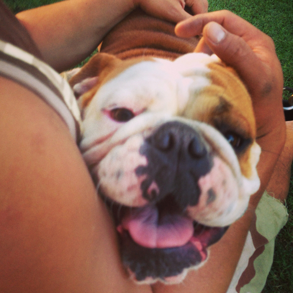 Dara Anguay - Poshmark Profile Picture of Dara Anguay (@dtiqui) on Poshmark