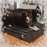 Profile Picture of Lori (@lorilucchi) on Instagram