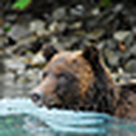 Profile Picture of Northwestern Reflections (@Northwestern Reflections) on Flickr