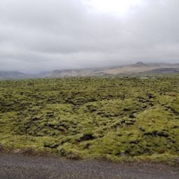 Profile Picture of Giorgio Barbiero (@giorgiohabfan) on Poshmark