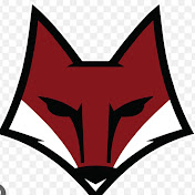 Profile Picture of Swamp Foxe’s Travel Ball  (@Swampfoxestravelball) on Youtube