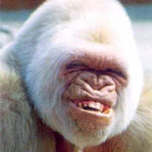 Profile Picture of Daniel Shutt (@D_Shuttz) on Twitter
