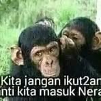 Robin Hut - Facebook Profile Picture of Robin Hut (@Robin-Hut) on Facebook