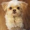 Profile Picture of Nancy Aberle (@@user38129844211706) on Tiktok