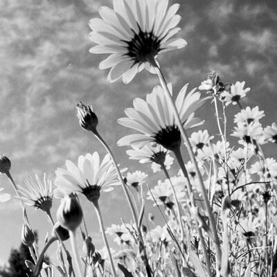 Profile Picture of Julia Sauve (@FashionLoverr1) on Twitter