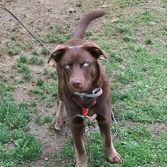 Profile Picture of Sara Hazlett (@sherbert2006) on Poshmark