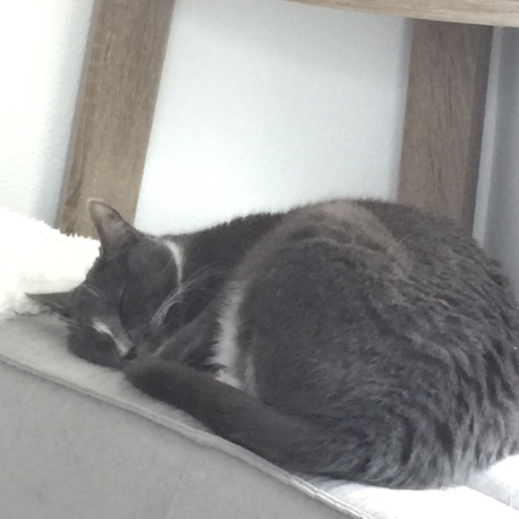 Profile Picture of Brittany Hjelte (@brittanyhjelte) on Poshmark