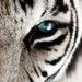 Profile Picture of Sean Murtagh (@seanmurtagh374) on Pinterest