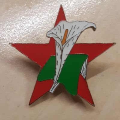 Paul McAllister - Twitter Profile Picture of Paul McAllister (@cally89) on Twitter